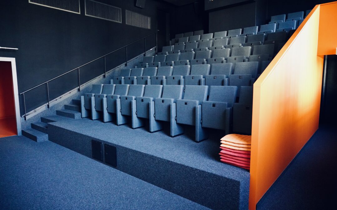 Fonction : Cinéma