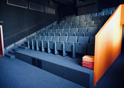 Fonction : Cinéma